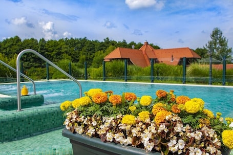 Seasonal outdoor pool, sun loungers. Forest Hills Hotel & Golf Zirc