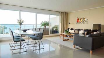 TV connectée, cheminée, lecteur de DVD, livres