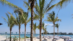 Une plage bordée de palmiers, avec des chaises longues et un pont en arrière-plan.