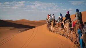 Desert view - Musta Desert Luxury Camp (Taouz)