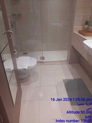 Hårtork, handdukar, schampo och toalettpapper