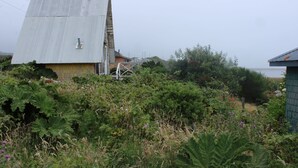 Un grand bâtiment délabré, surmonté d  ’un toit en tôle ondulée, entouré d’une végétation luxuriante et bordé d’une petite construction dotée d’un toit recouvert de bardeaux.