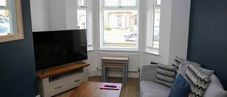 Flat-screen TV