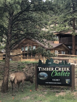 A sign for Timber Creek Chalets indicating a vacancy, with a mountain view and a rustic lodge in the background. - Timber Creek Chalets: 6 1 Bedroom Chalet (Estes Park)