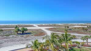 A coastal landscape with a clear sky, sandy paths, and scattered palm trees.