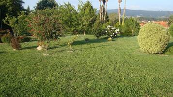 Zona verde bien cuidada con arbustos y árboles diversos, incluyendo un seto cónico grande y un árbol con flores.