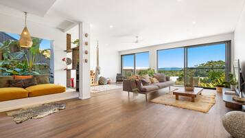 TV, books, music library, stereo