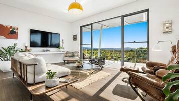 TV, books, music library, stereo