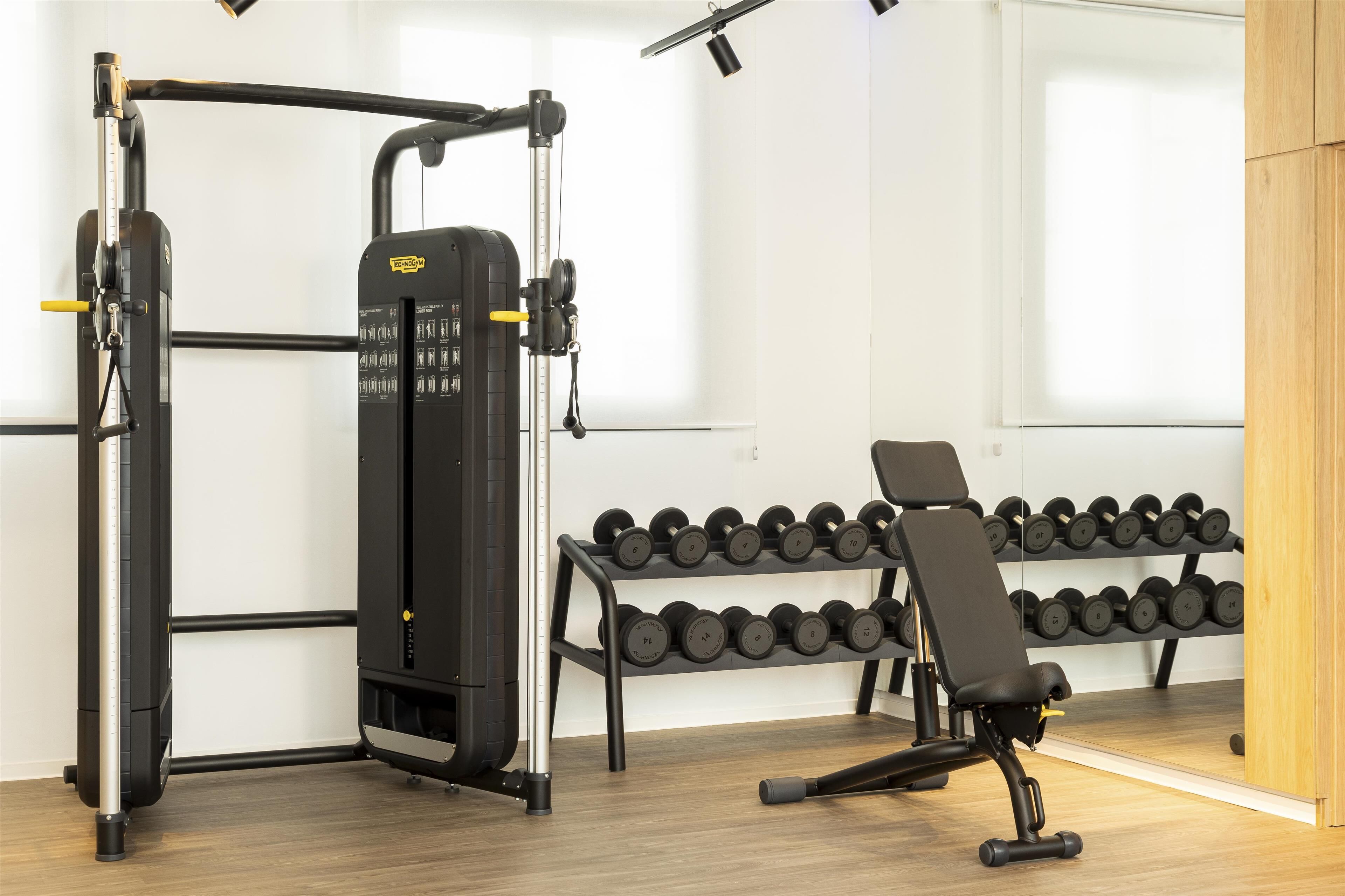 Un gimnasio con una estructura para sentadillas, banco y mancuernas.