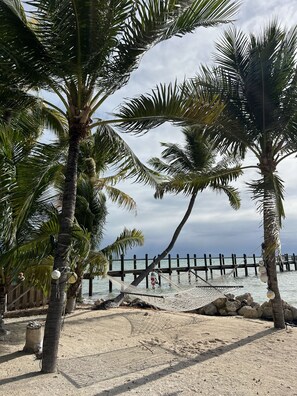 Beach - Oceanfront Estate on Islamorada, Florida Keys - Ocean Oasis of Islamorada (Islamorada)