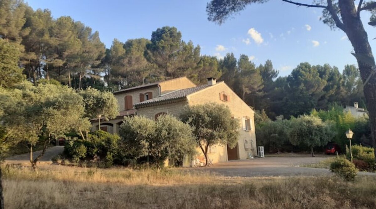 Image de profil de l’hôte