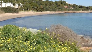 A coastal landscape with a sandy beach, clear blue water, and greenery. - Sounio Golden View Villas (Lavreotiki)