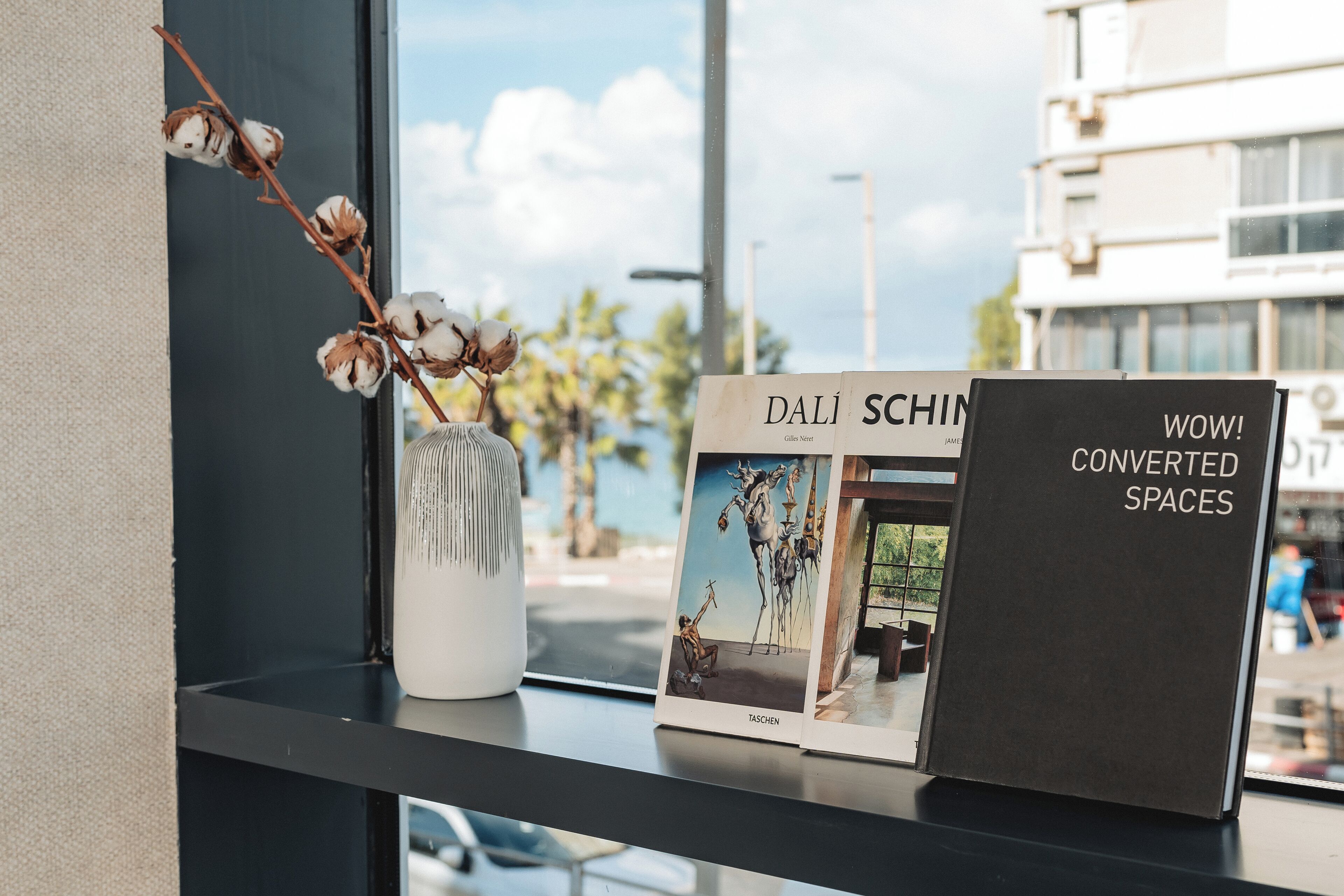 A book titled "DALÍ SCHIN" and a vase with cotton branches on a shelf.