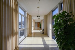 A hotel corridor with large windows, a potted plant, and a sign indicating the direction to the lobby.