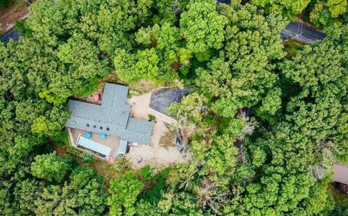 Willow Creek: Mid-Century Oasis