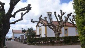 Ngoại thất