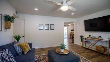 Smart TV, fireplace, video games, DVD player