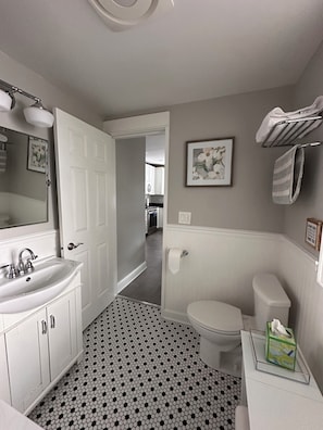 Hair dryer, towels, soap, toilet paper