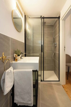 A modern bathroom with a glass shower enclosure, a white sink, and a mirror.