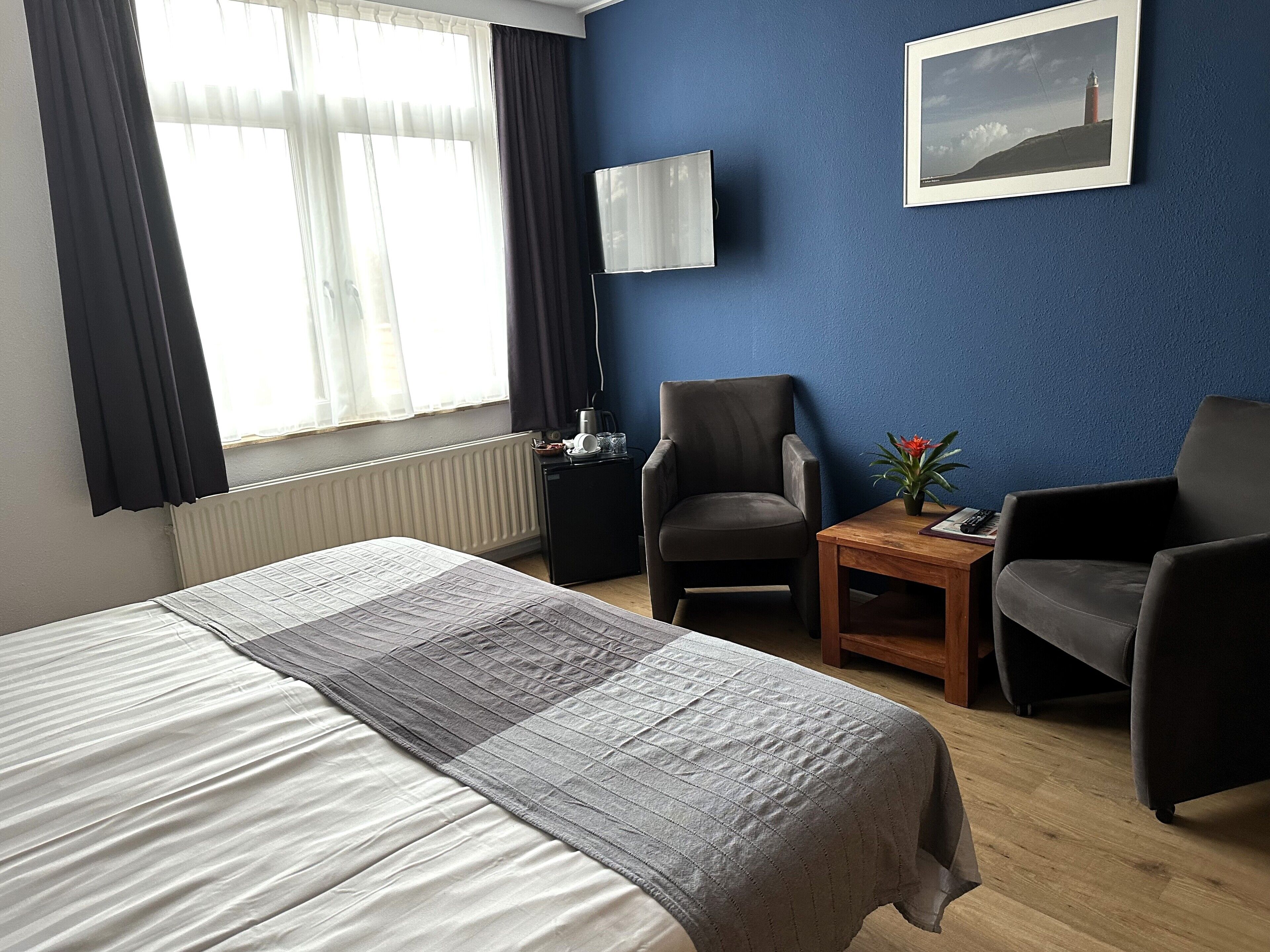 A hotel room with a bed, two armchairs, a small table with a plant, a lamp, and a framed picture on the wall.