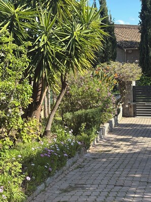 المنطقة المحيطة بالمنشأة