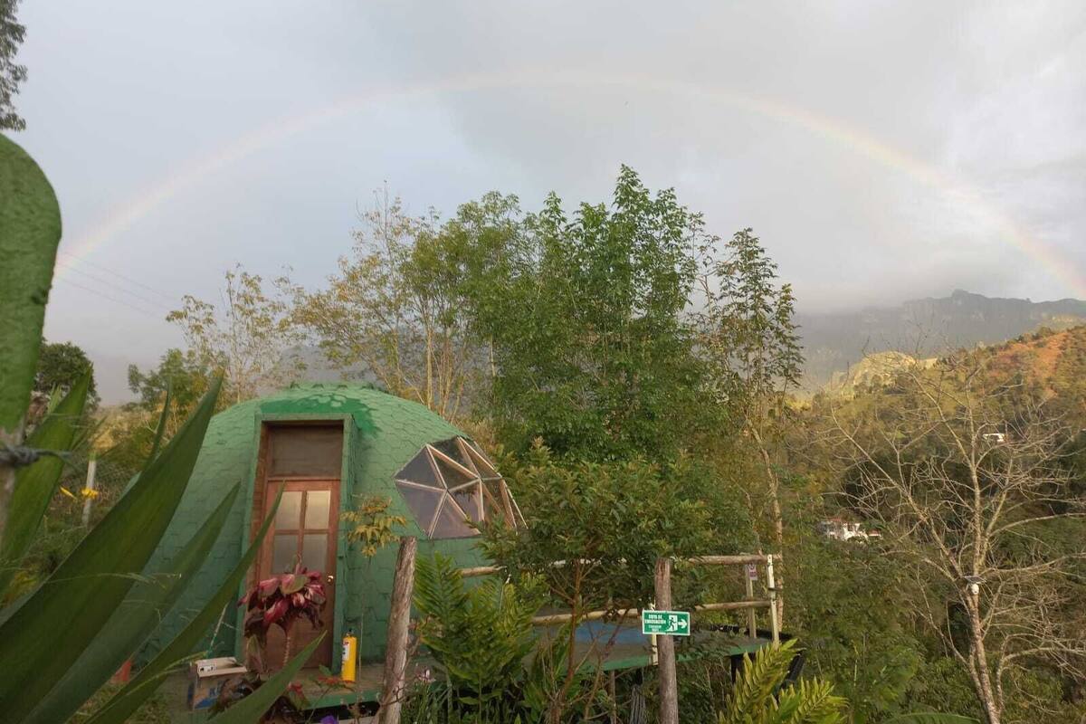 Ein kleines Gebäude mit grüner Dachbegrünung, einem Fenster und einer Tür, umgeben von üppigem Grün und einem Regenbogen im Hintergrund.