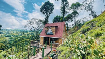 Una pequeña cabaña de madera con techo rojo, rodeada de exuberante vegetación y árboles.