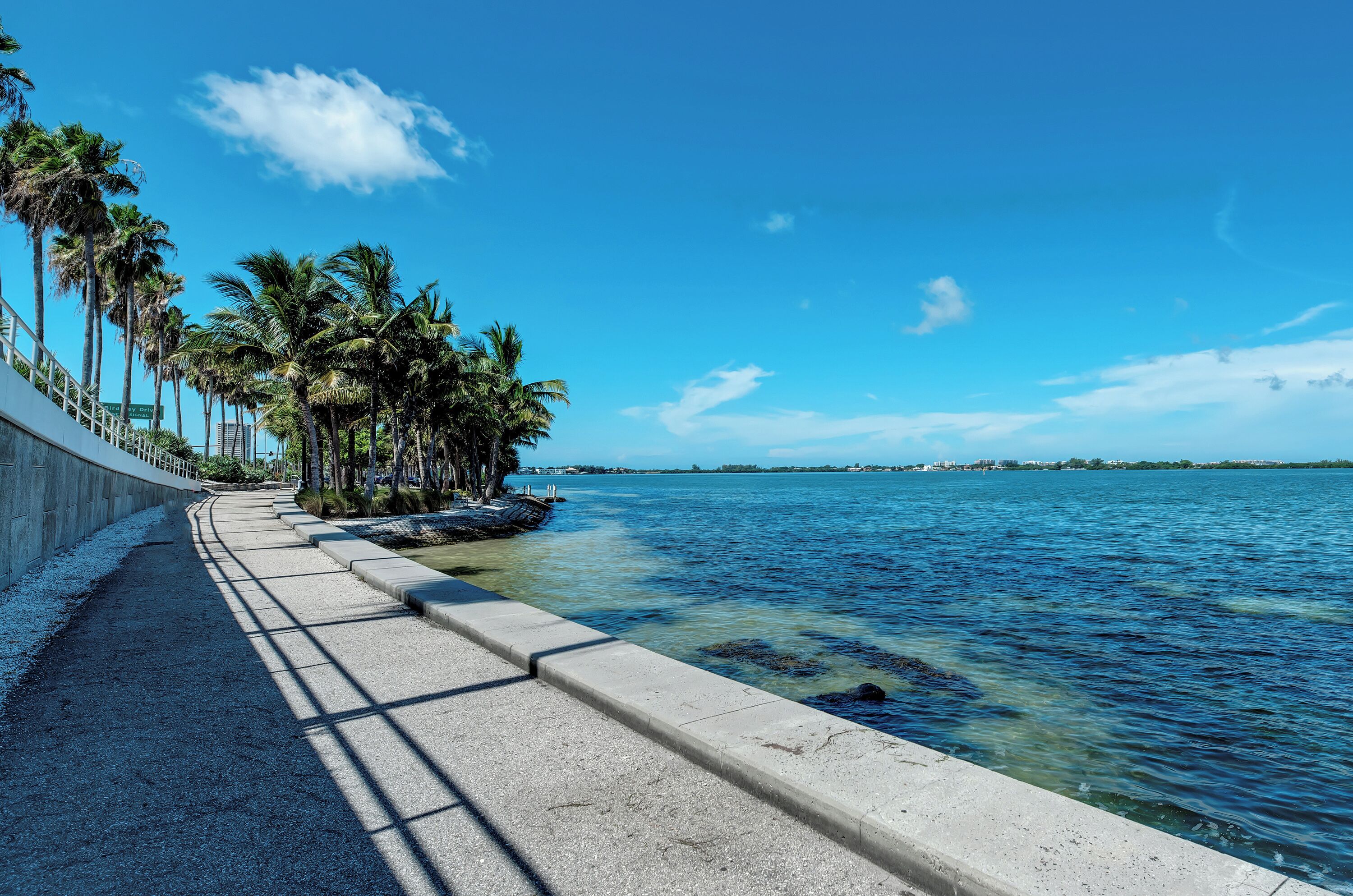 A coastal walkway with palm trees and a clear blue sky.