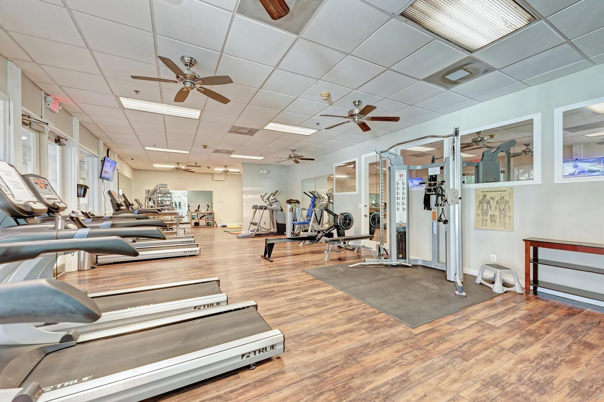 A gym with treadmills, exercise equipment, ceiling fans, and a wooden floor.