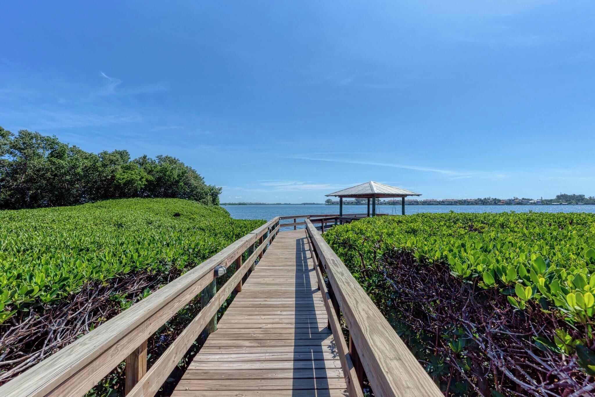 Un muelle de madera que conduce a una glorieta junto al agua, rodeado de exuberante vegetación.
