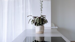 A minimalist room with a white table, a hanging plant, and a small hanging bag. - Chez Marie See I Berge I Luzern (Beckenried)