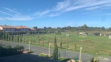 A rural landscape with a field, a row of houses, and a clear sky.
