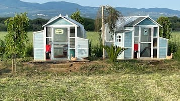 Elite House, 1 Bedroom, Garden Area | Garden view