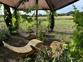 Área de parrillas y picnic