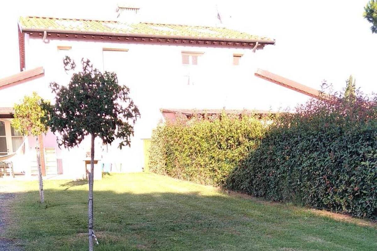 Un espacio cubierto de césped con un árbol pequeño y un seto.