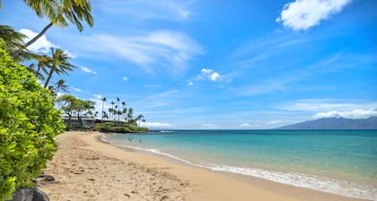 Celebrity Home Across the Street From Beach! Pool With Slide, Pickleball, Gym!