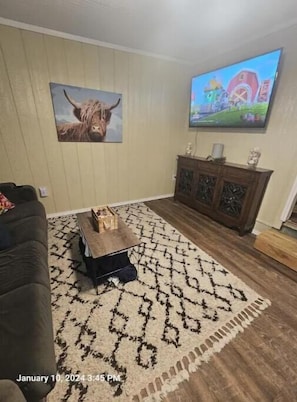 Smart TV - Peterson Cottage sleeps 4, w-hot tub, ice, laundry (Hernando)