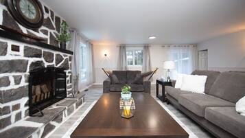 Una televisión, una chimenea, un reproductor de DVD, libros