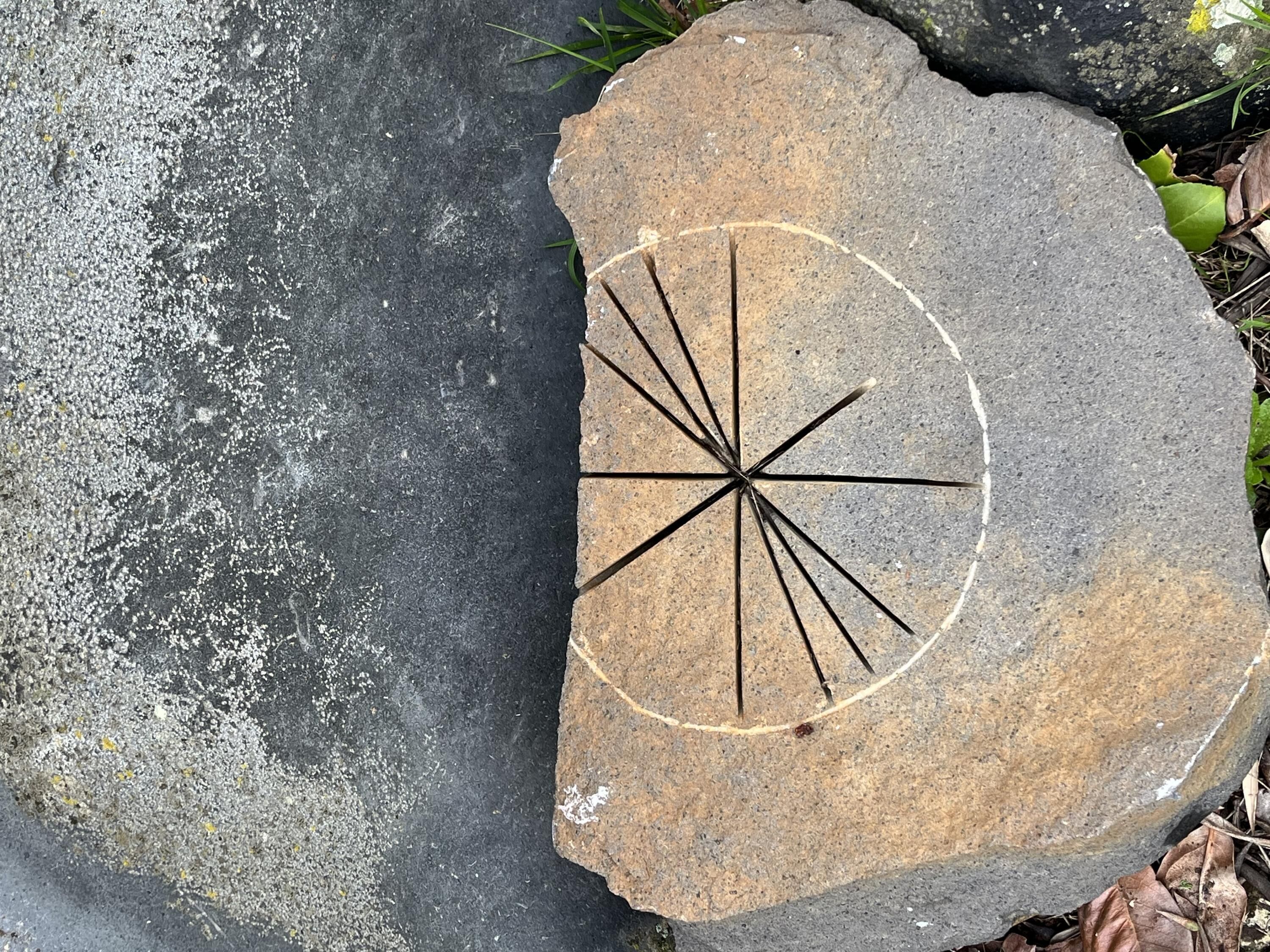 A rock with a circular pattern and radiating lines, surrounded by a concrete surface and some vegetation.