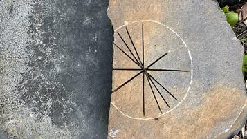 A rock with a circular pattern and radiating lines, surrounded by a concrete surface and some vegetation.