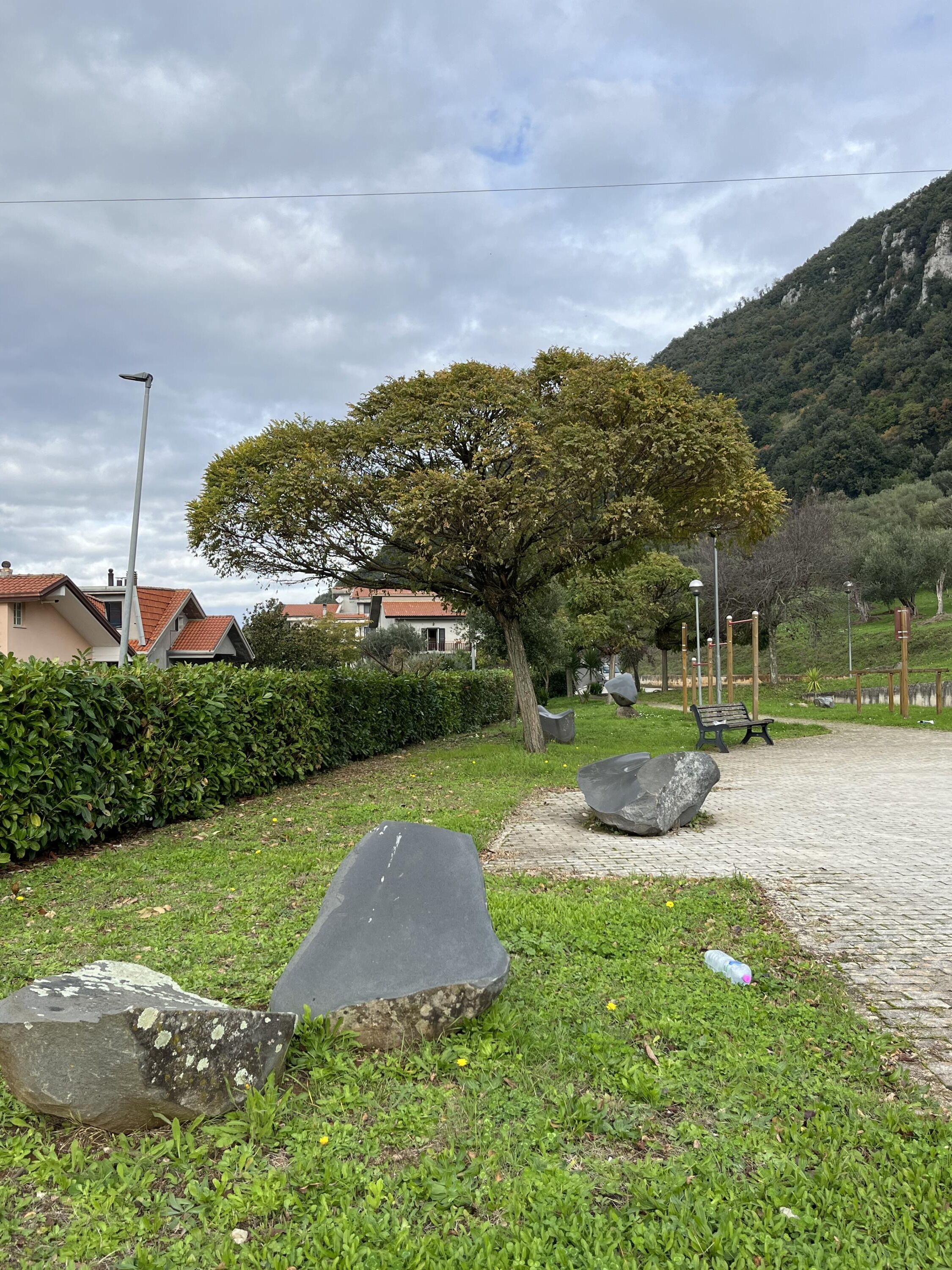 Un parque con un árbol grande, bancos de piedra y un sendero pavimentado.