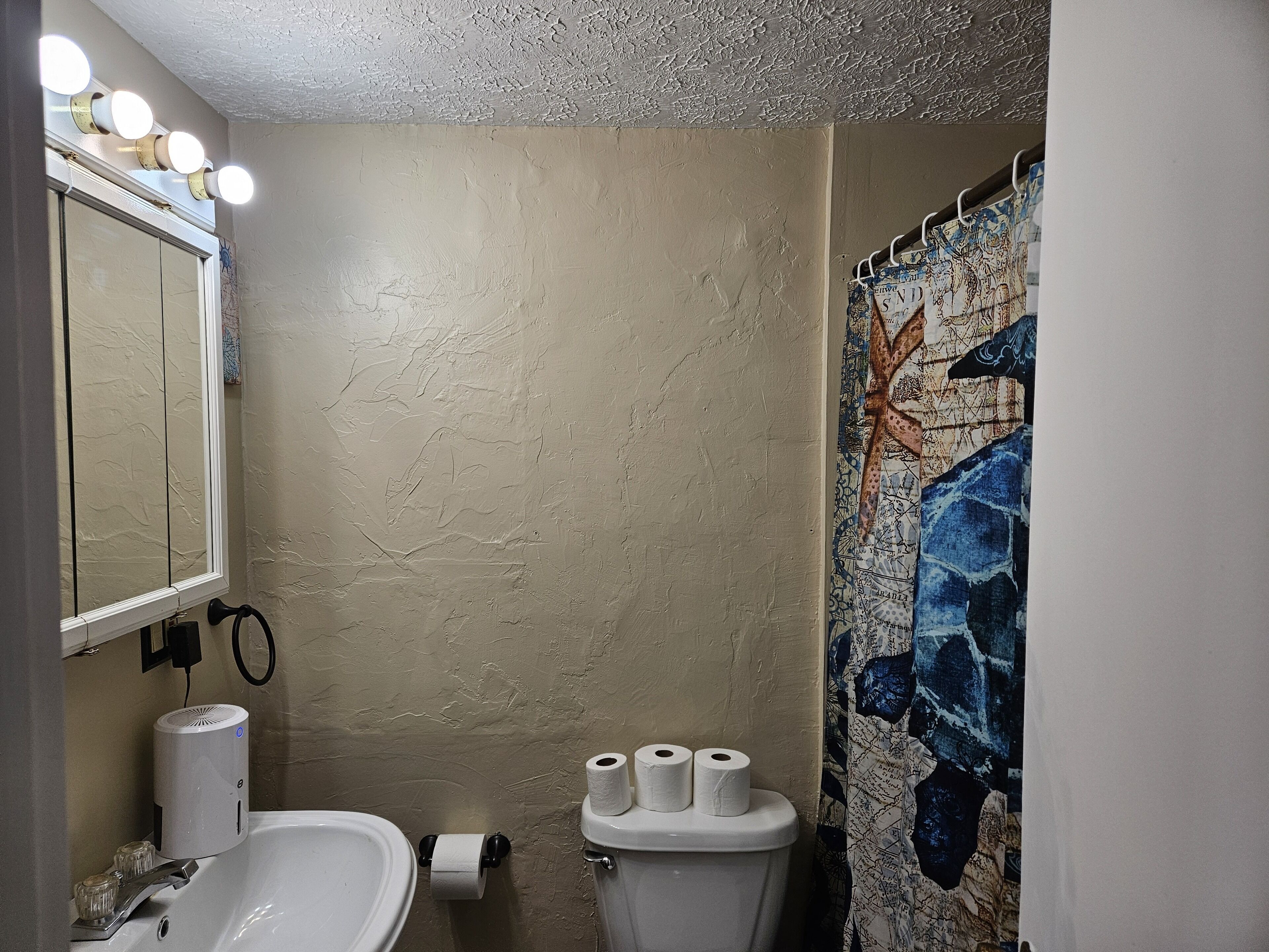 A bathroom with a white sink, a mirror with lights, a toilet with two rolls of toilet paper, and a shower curtain with a floral pattern.