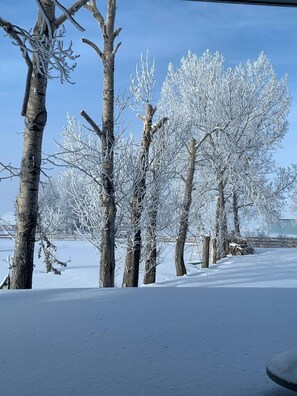 Property grounds - The Great Grizzly Getaway

 (Calgary)