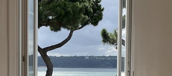Ideal for 2 families, large charming house, sea view, direct access to the beach