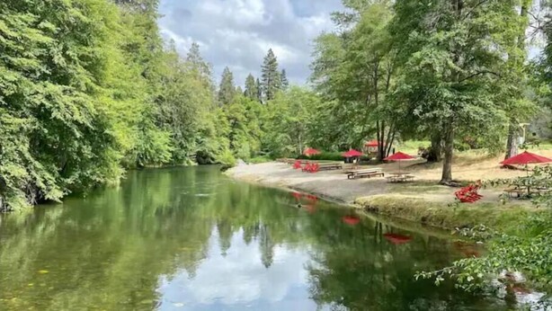 A serene riverside setting with picnic tables and red umbrellas, surrounded by lush greenery. - Red Barn in Wine Country (Jacksonville)