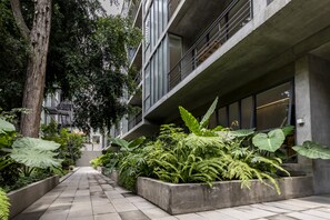 Property grounds - Unique Luxury Garden House in La Condesa! (CDMX)