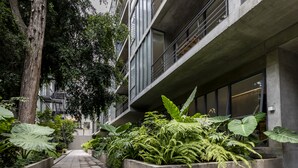 Un étroit sentier bordé de grands jardinières débordantes de verdure, qui mène à un bâtiment moderne doté de balcons et de grandes fenêtres.