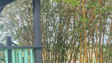 施設の敷地