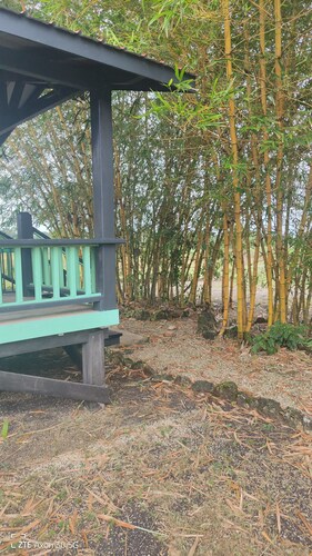 Jamaican Bamboo Cabin 1 bedroom Studio