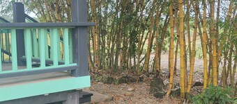 Jamaican Bamboo Cabin 1 bedroom Studio